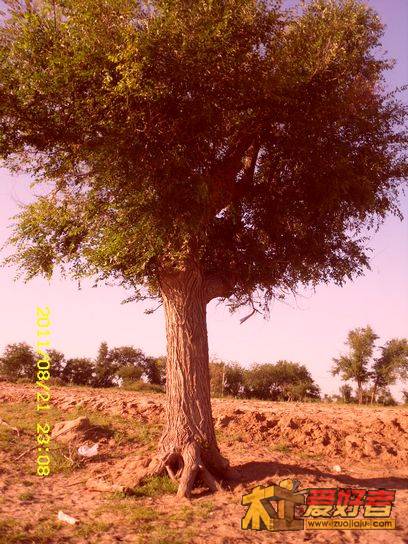 SDC13583.JPG