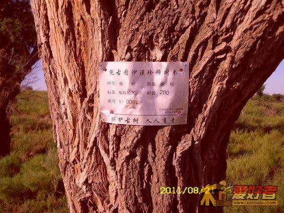 SDC13588.JPG