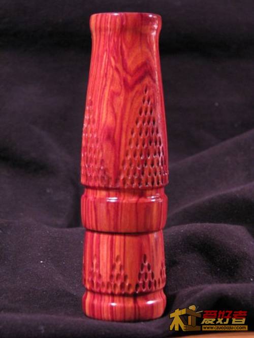 tulip 7.jpg