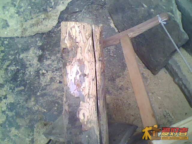 IMG0539A.jpg