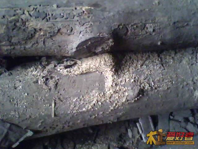 IMG0522A.jpg