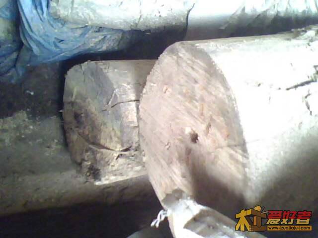 IMG0531A.jpg