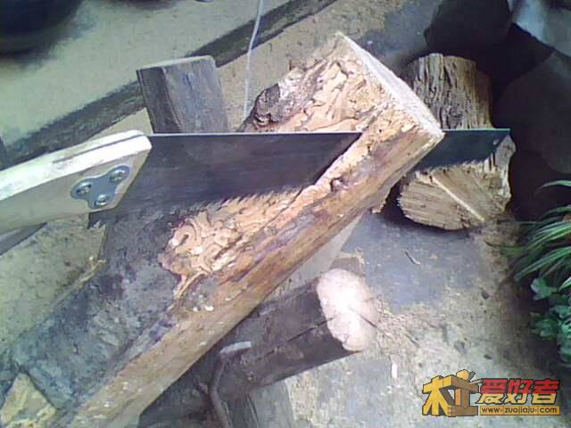 IMG0533A.jpg