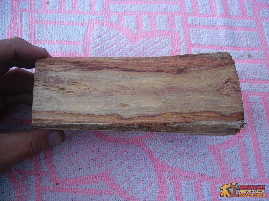 hh3.JPG