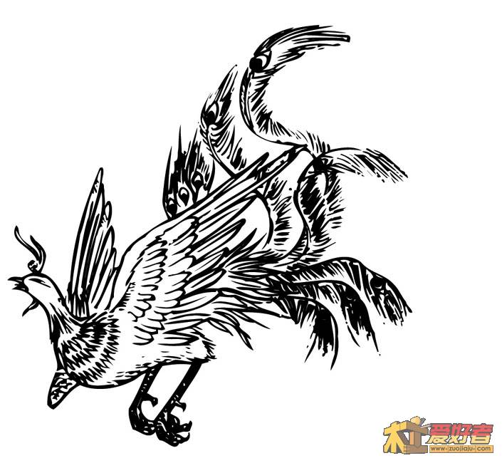 20070816165510137.jpg