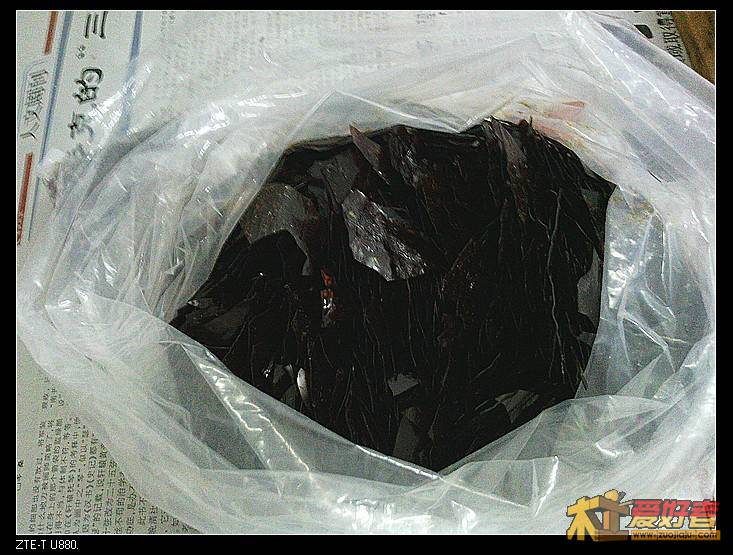 虫胶片.jpg