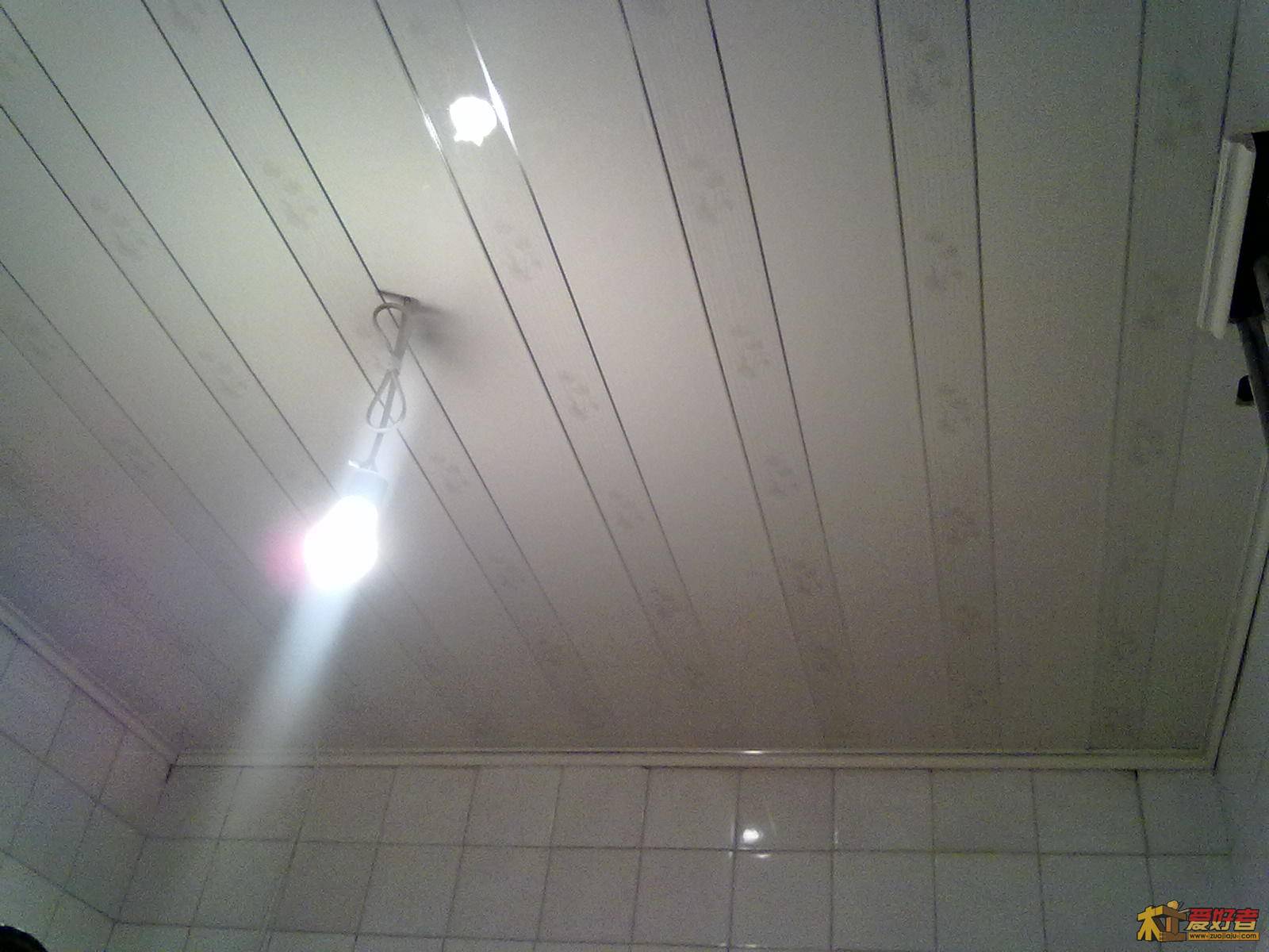20111105235.jpg