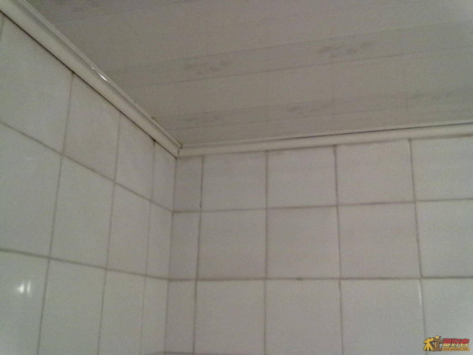 20111105233.jpg