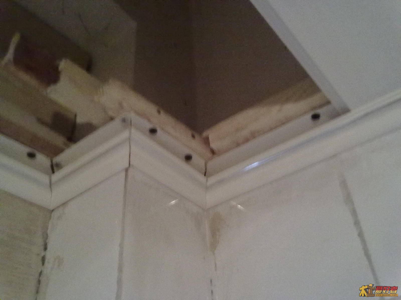 20111105231.jpg