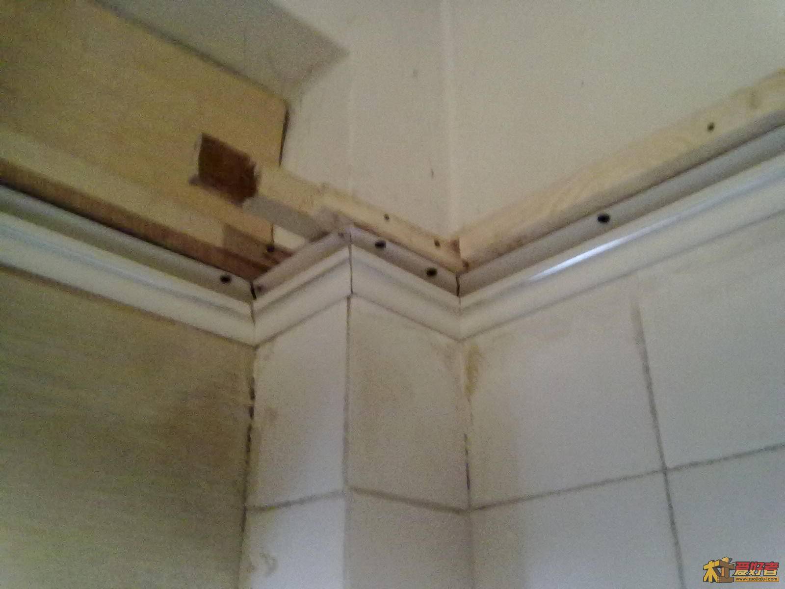 20111105227.jpg