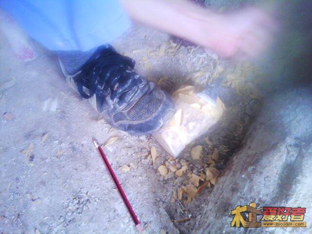 IMG0217A.jpg
