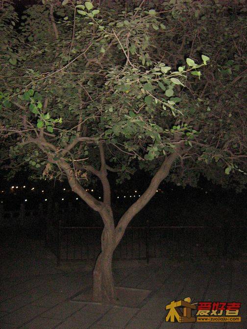 照片20110708 022.jpg