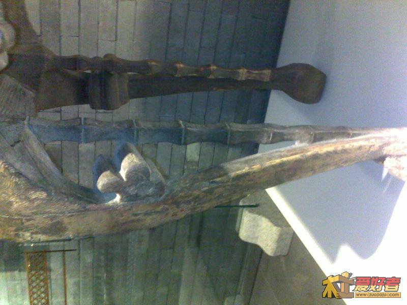 201111051128.jpg