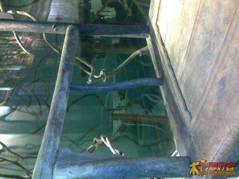 201111051175.jpg