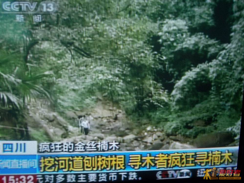 照片 273.jpg