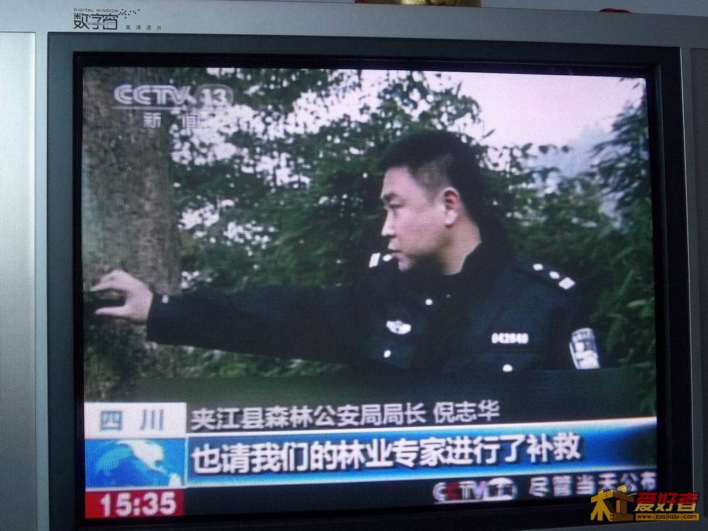 照片 278.jpg