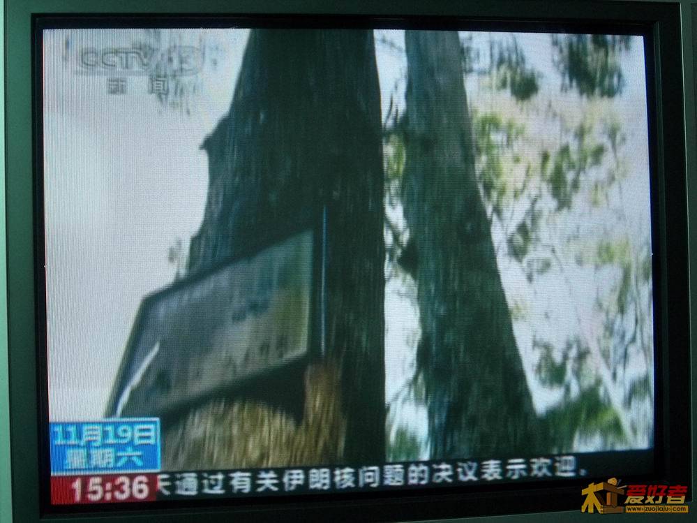 照片 280.jpg