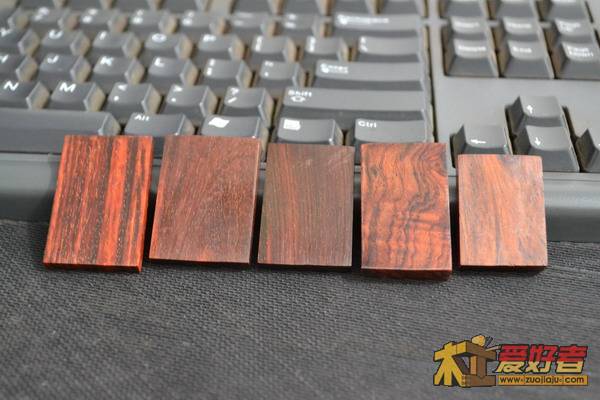 DSC_0051_调整大小.jpg