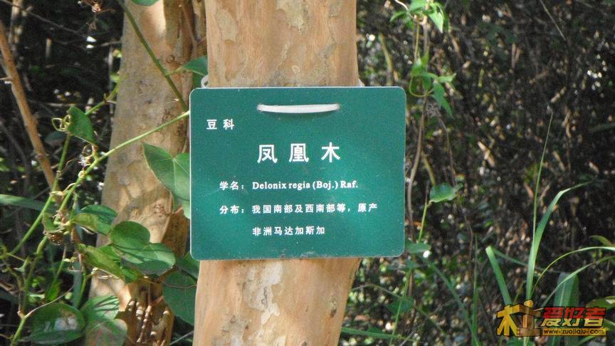 DSCF0146.JPG