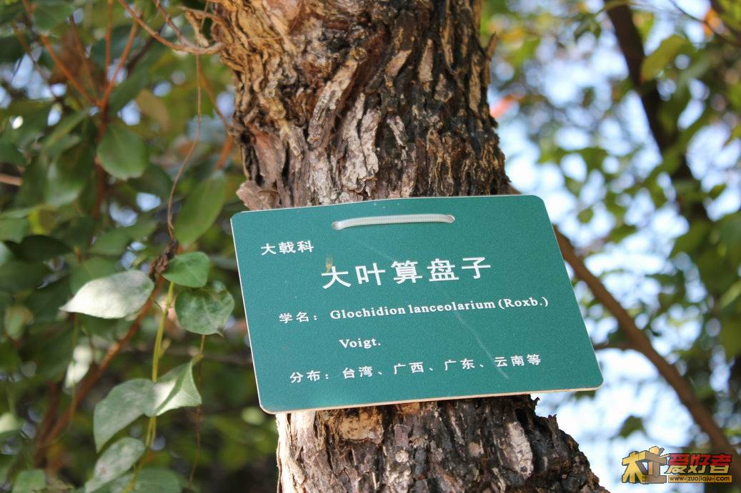 IMG_0351.JPG