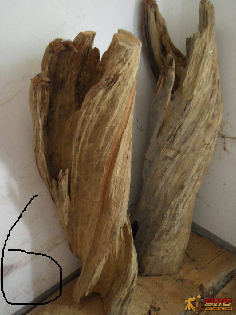 6.JPG