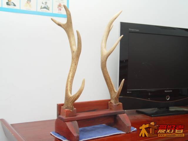 DSC04245.JPG