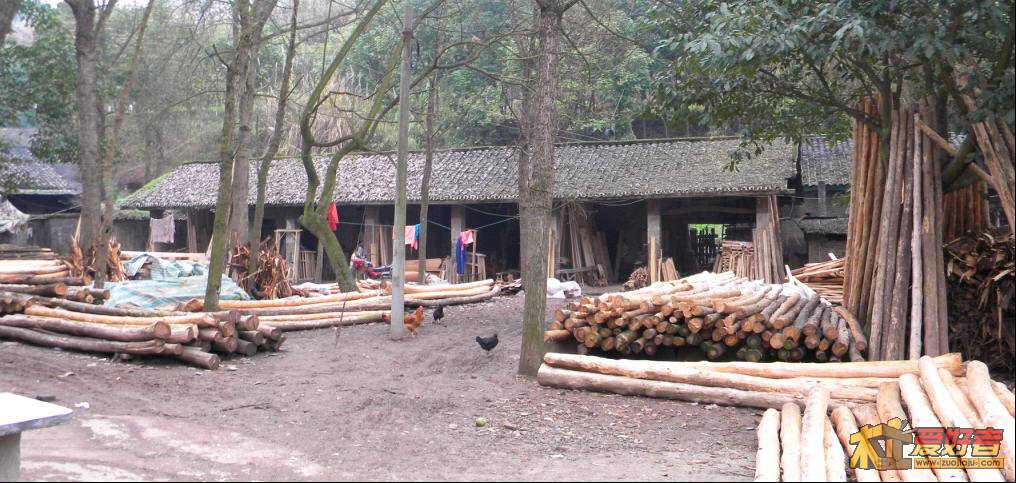 14.JPG