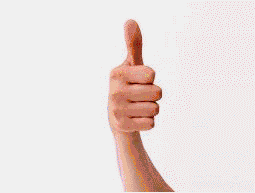 095002kzooyiillk7ujuz8.gif