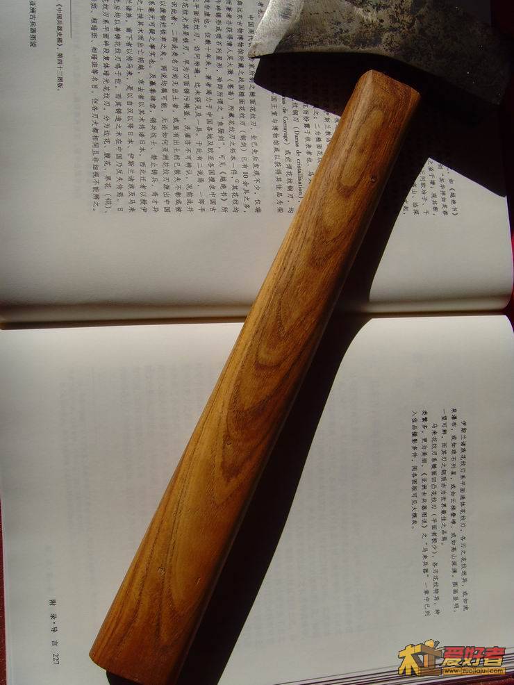 SNV38786.JPG