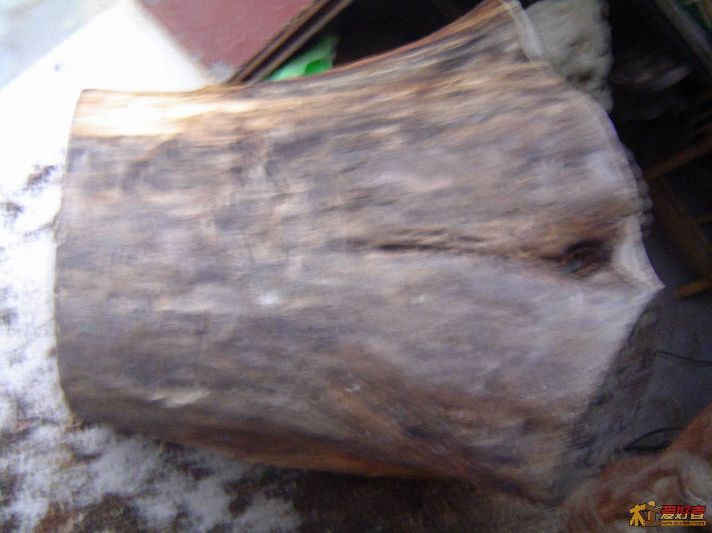 DSC01289.JPG