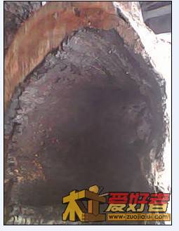 香樟8.jpg