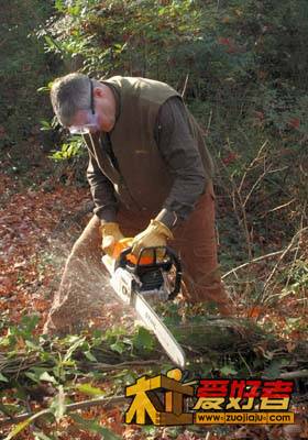 Selecting legs for log table eht.jpg