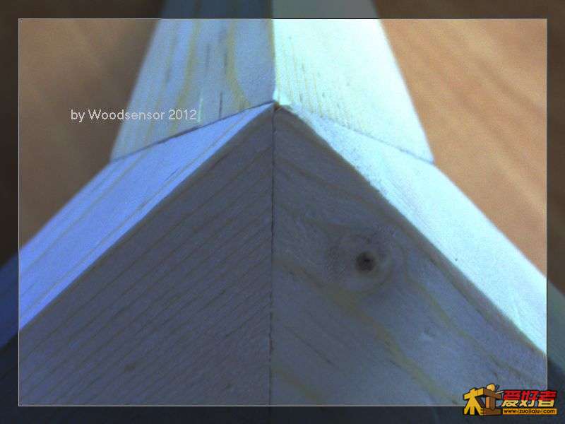 CRW_2072.jpg