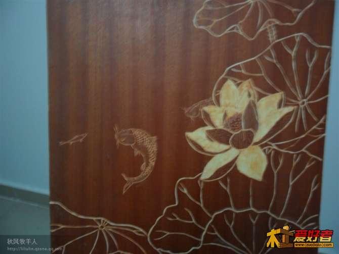 荷花1.jpg