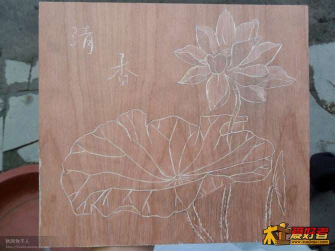 荷花4_副本.jpg