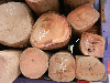 VA241OCAO07V7NCABUWVXBCAYGJEAYCADSD5L3CAPMVV1MCABSYJ9KCAR9CHFMCATAU2FACA1H5WV1CA.jpg