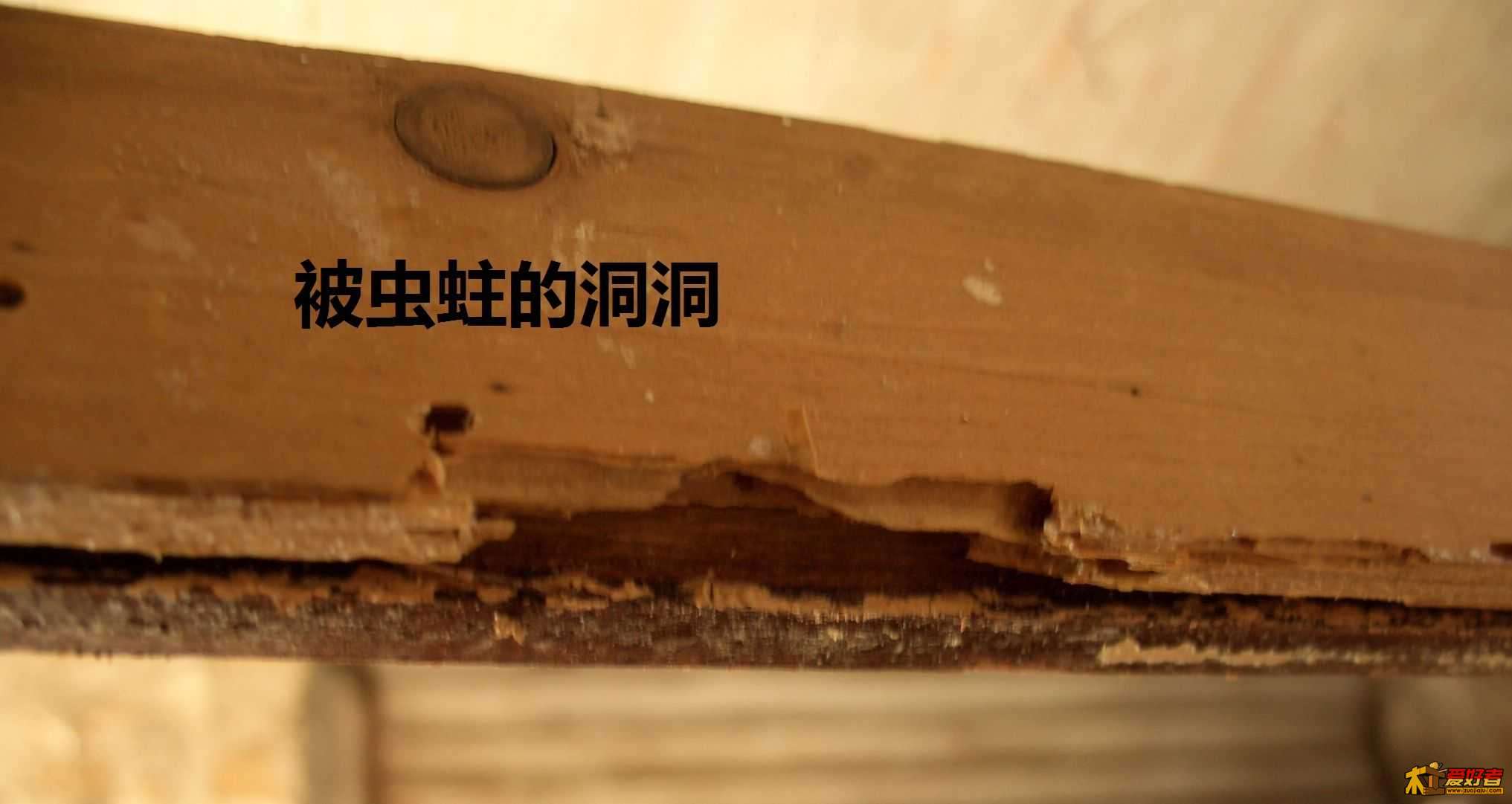 CIMG7022.JPG
