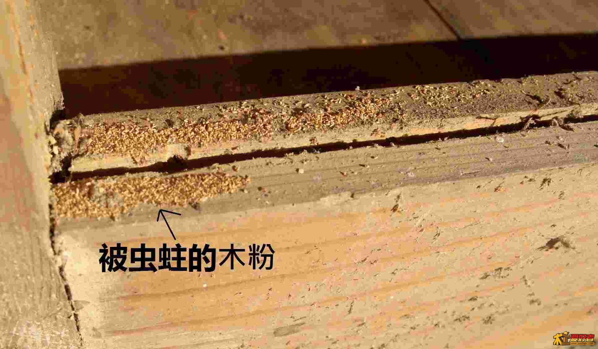 CIMG7029.JPG