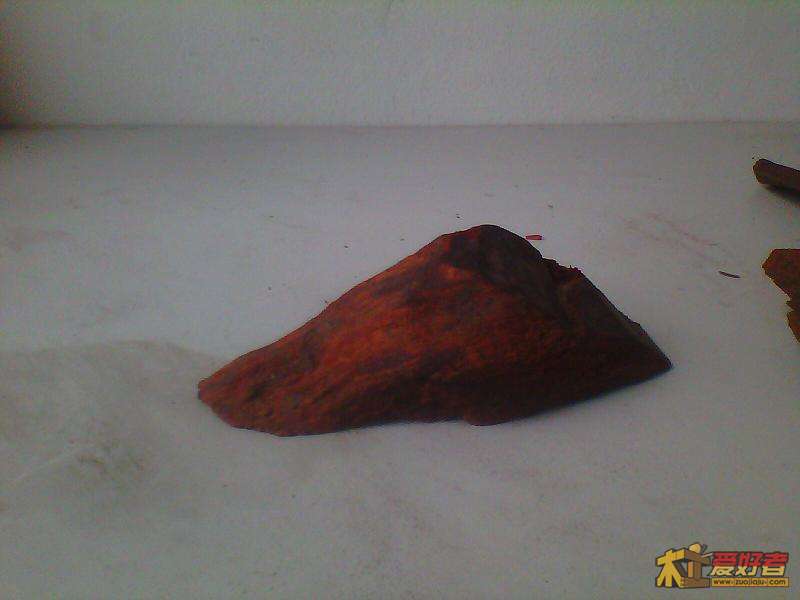 IMG00137.jpg