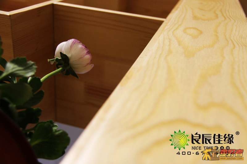植物·仰望.jpg