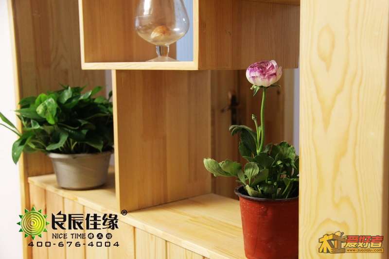 植物1.jpg