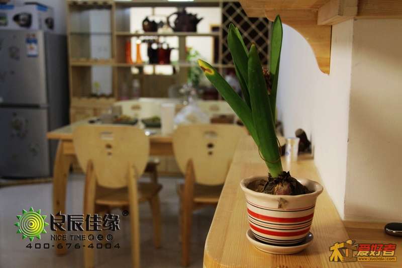 植物2.jpg