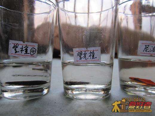 10秒