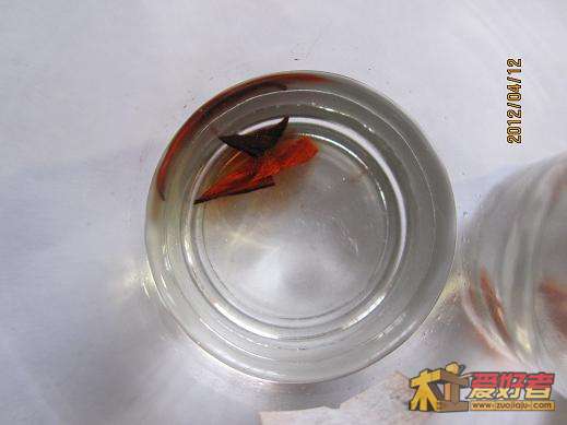30秒，酸枝1