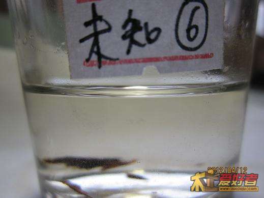 360秒，无任何变化