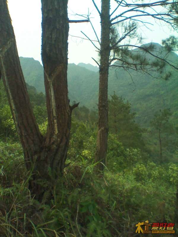 psb7.jpg