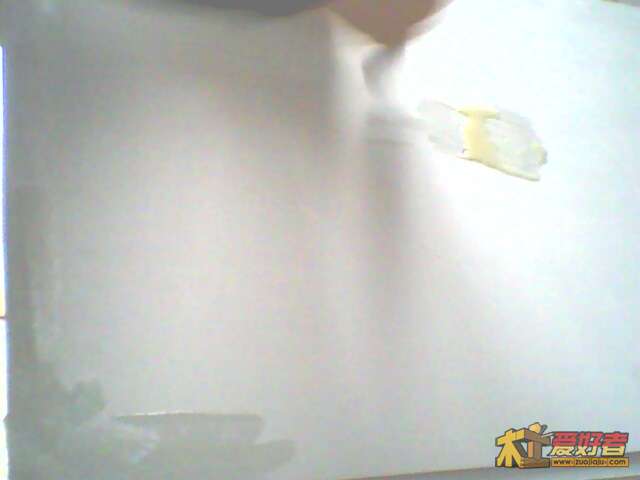 IMG0592A.jpg