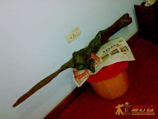 20120503243.jpg