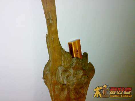 20120503246.jpg