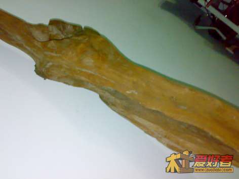 20120503247.jpg